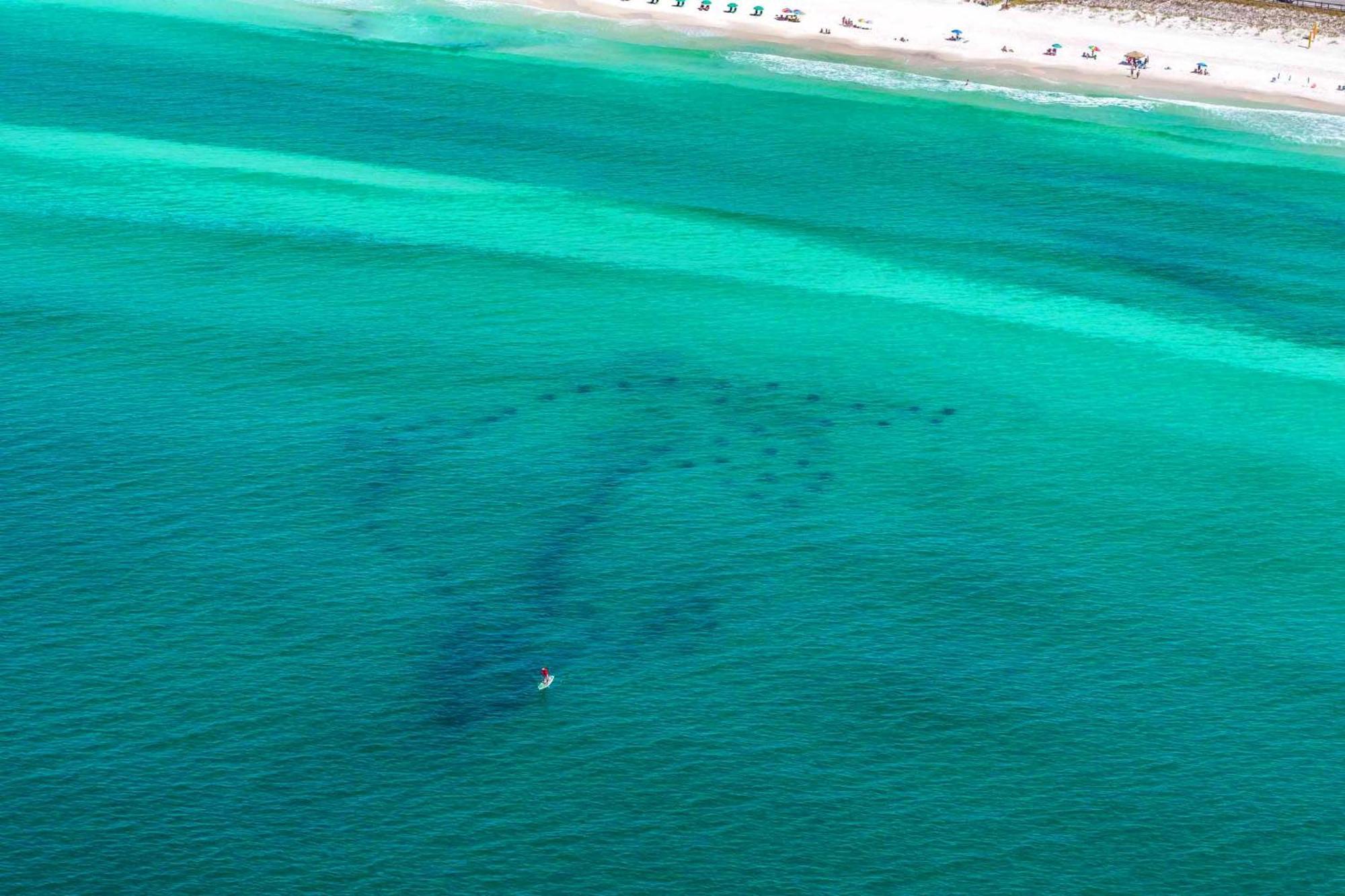Ariel Dunes I 1502 Destin Exterior photo